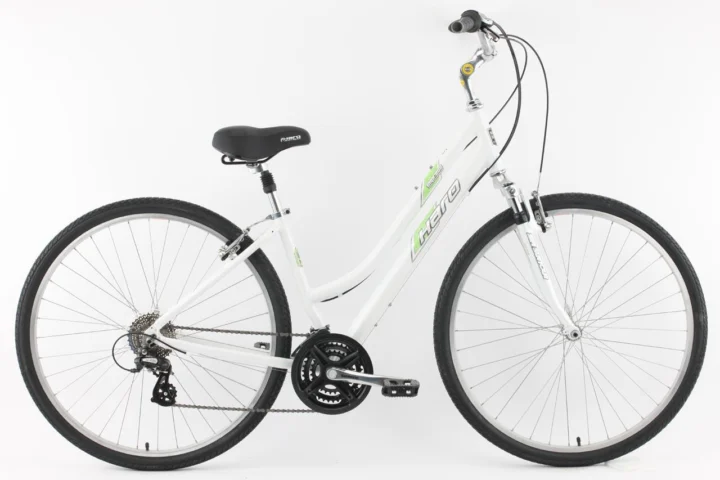 2010 Haro Express Deluxe ST