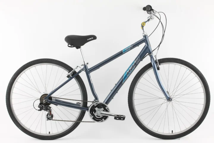 2010 Haro Express Sport