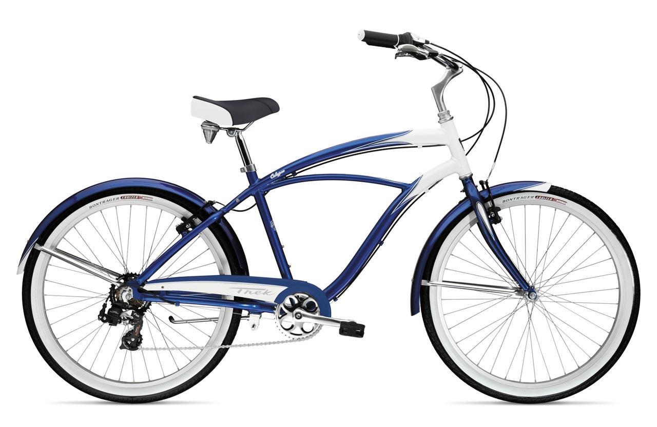 2010 Trek Calypso