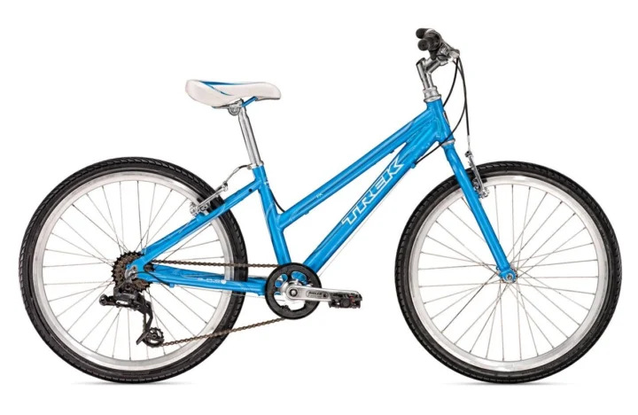 2010 Trek Kids FX Girl's