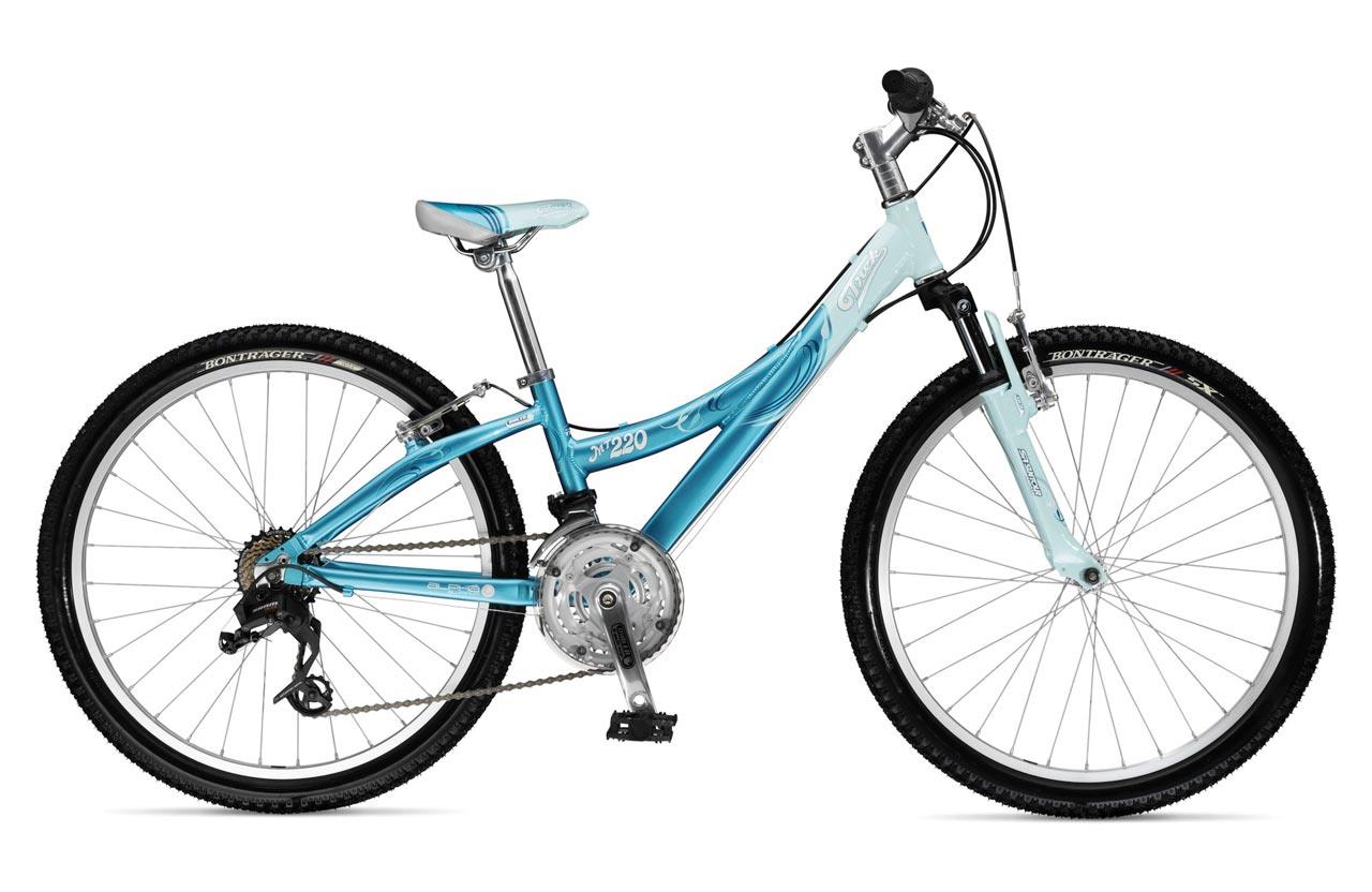 2010 Trek MT 220 Girl's