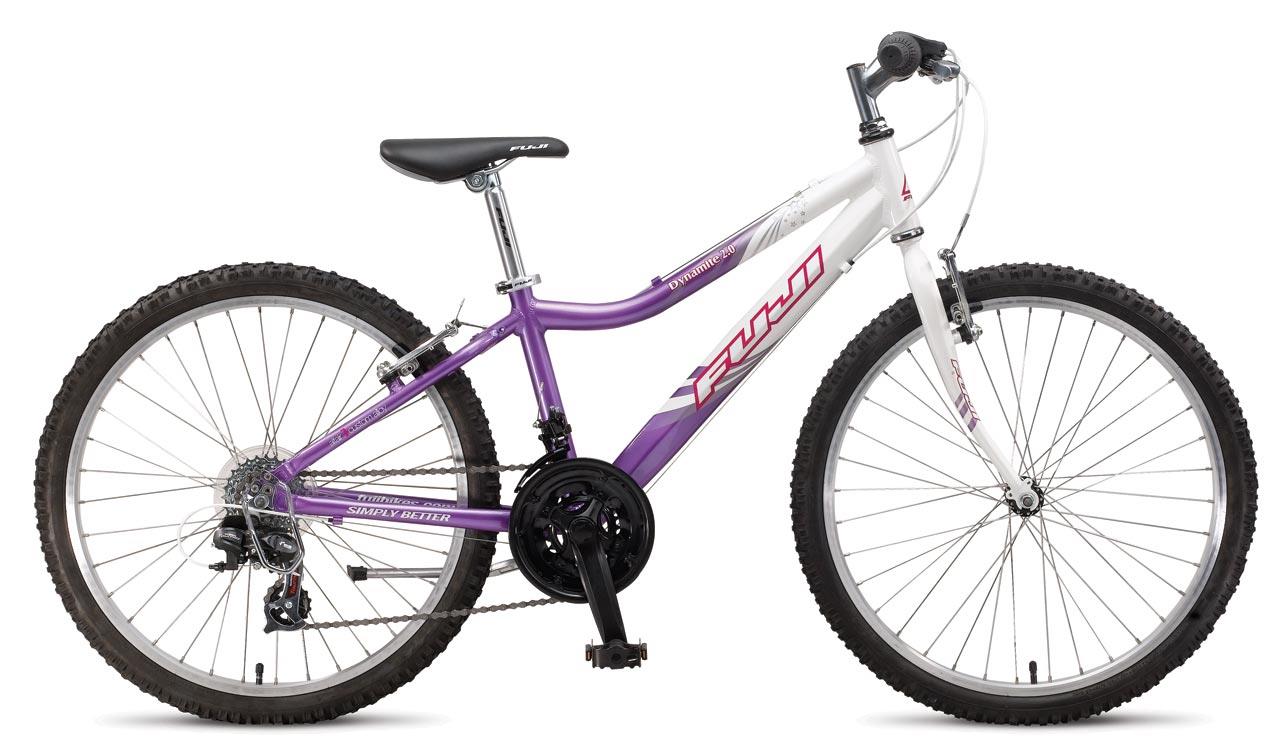 2010 Fuji Dynamite 2.0