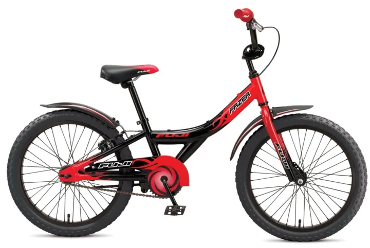 2010 Fuji Fazer