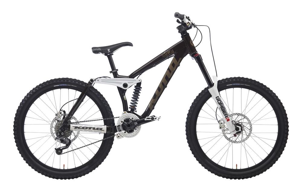 2010 Kona Stinky