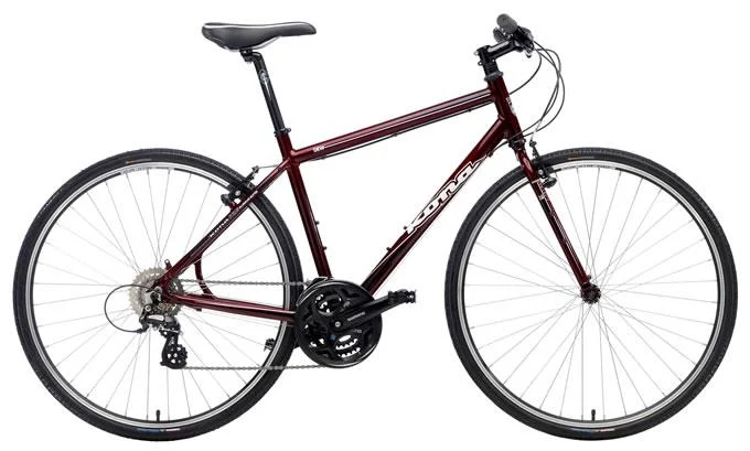 2010 Kona Dew