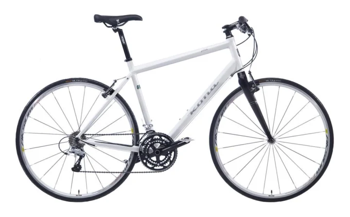 2010 Kona Ph.D