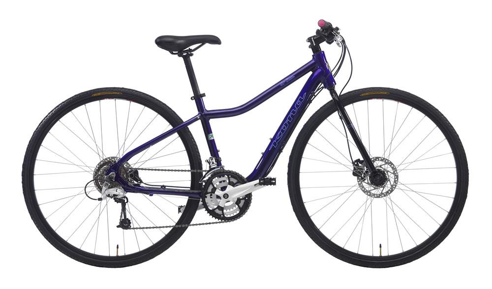 2010 Kona Dr. Lisa
