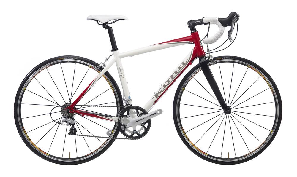 2010 Kona Lisa Rd