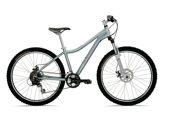 2010 Marin Bolinas Ridge WFG