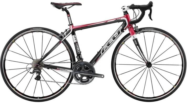 2010 Felt ZW2