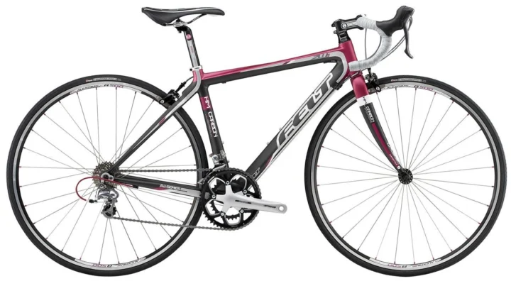 2010 Felt ZW5