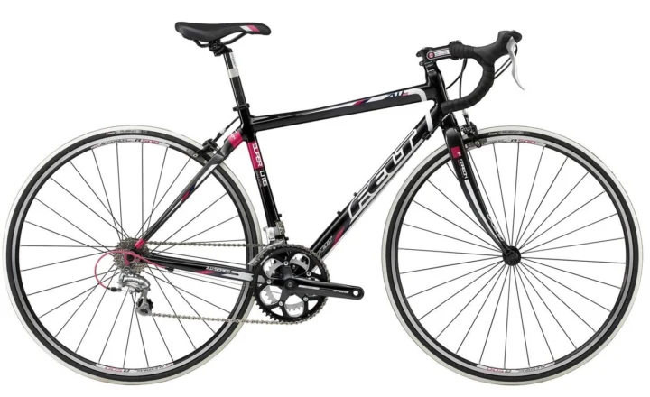 2010 Felt Z95