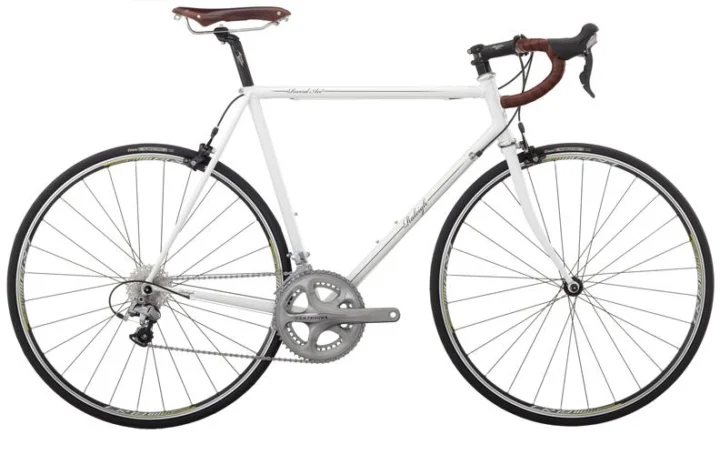 2010 Raleigh Record Ace