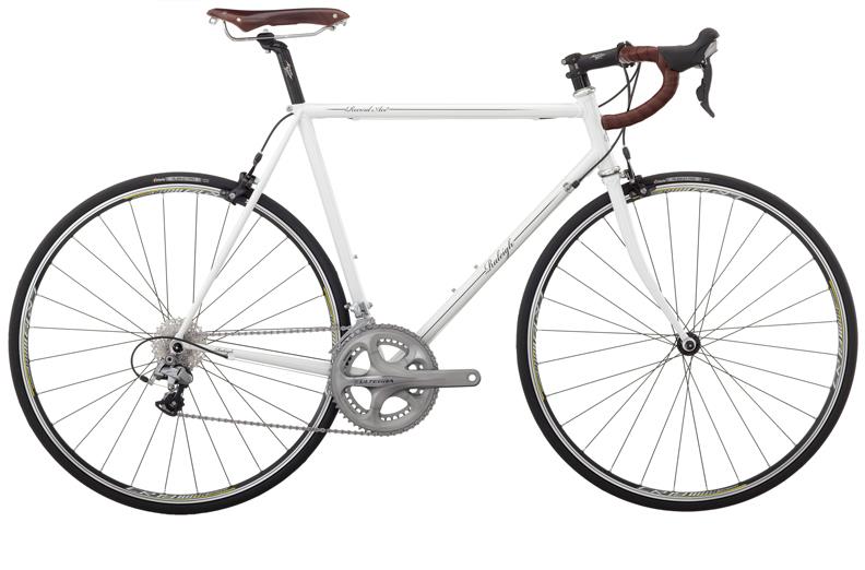 2010 Raleigh Record Ace