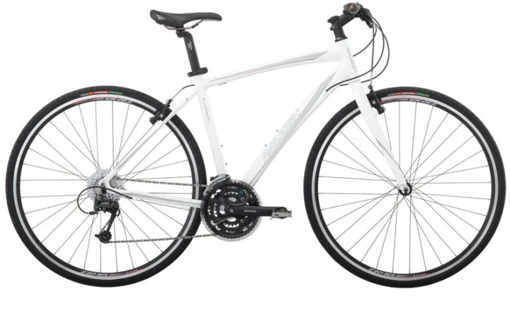 2010 Raleigh Alysa FT1