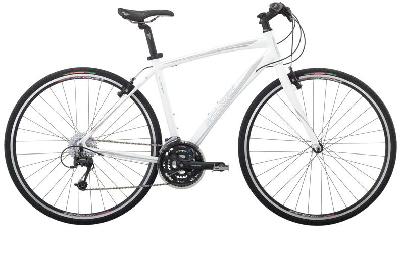 2010 Raleigh Alysa FT1