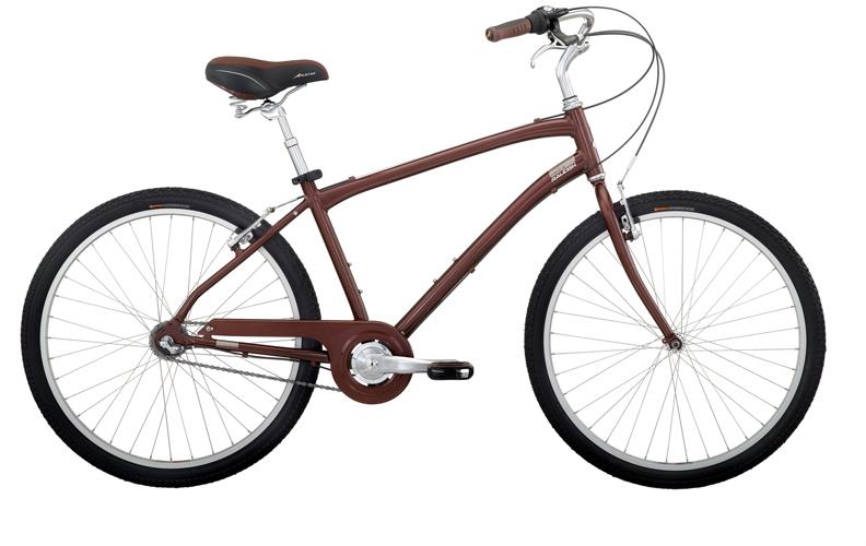 2010 Raleigh Circa I3