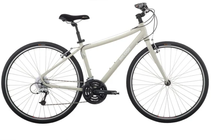 2010 Raleigh Detour 6.5
