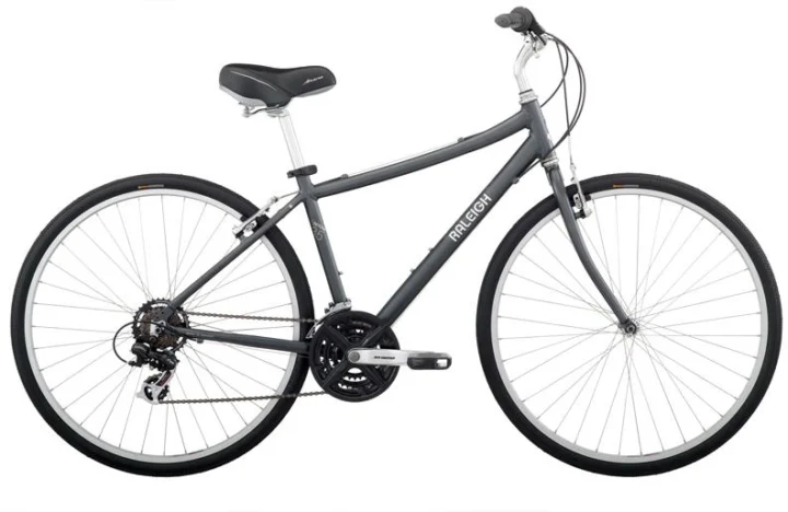 2010 Raleigh Detour 3.5