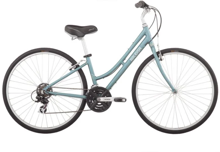2010 Raleigh Detour 3.5 Women's