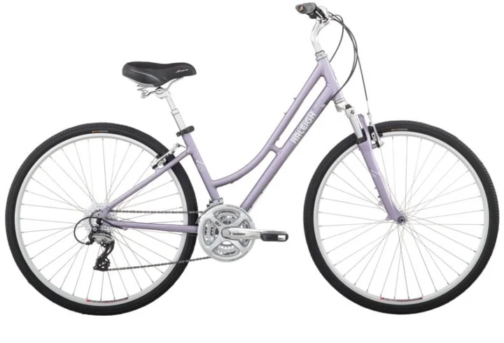 2010 Raleigh Route 4.0 Women's