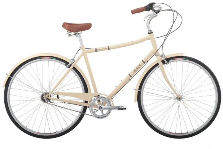 2010 Raleigh Classic Roadster