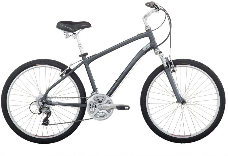 2010 Raleigh Venture 4.0