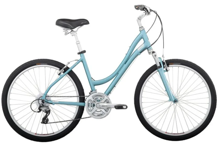 2010 Raleigh Venture 4.0 Women's