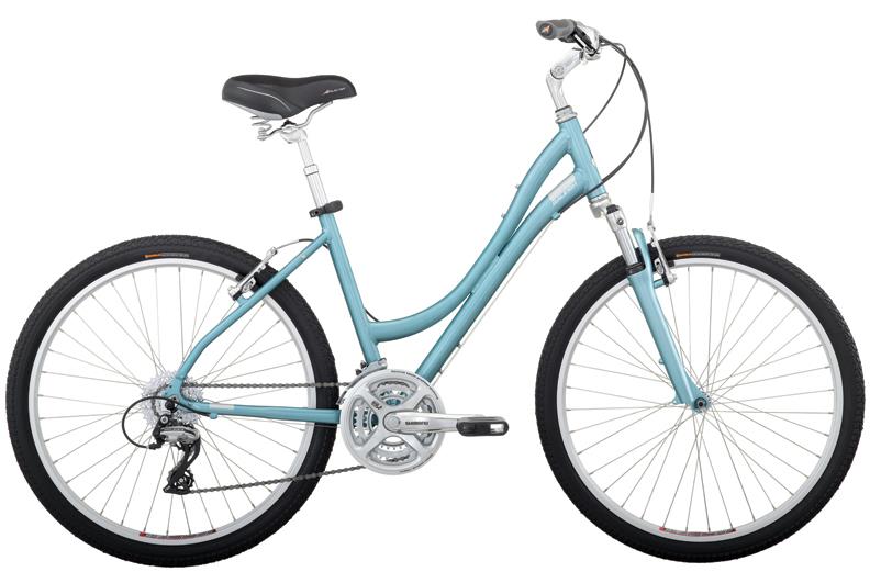2010 Raleigh Venture 4.0 Women's