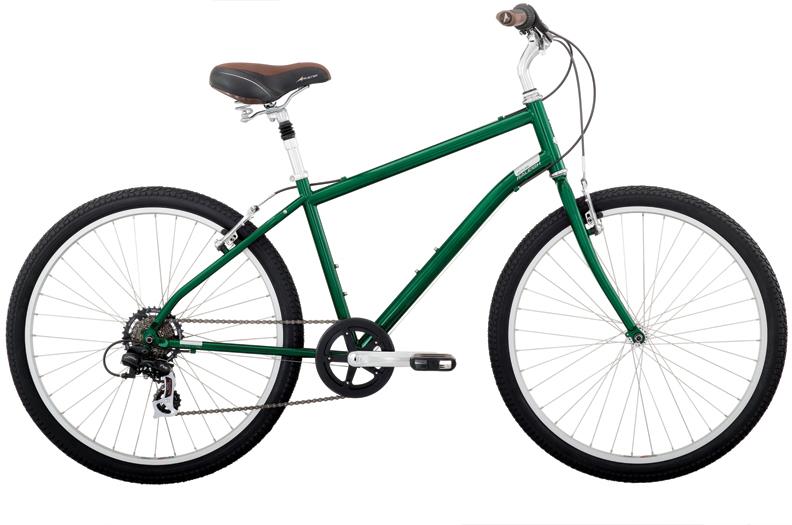 2010 Raleigh Venture