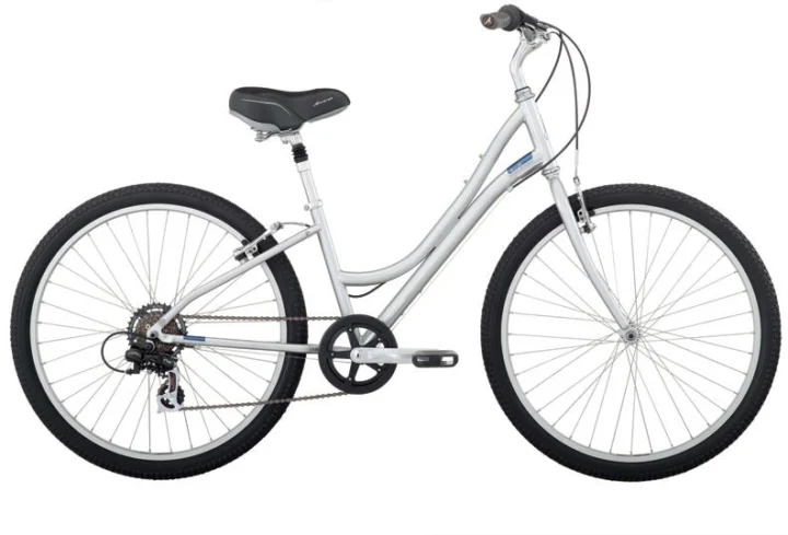 2010 Raleigh Venture Women's