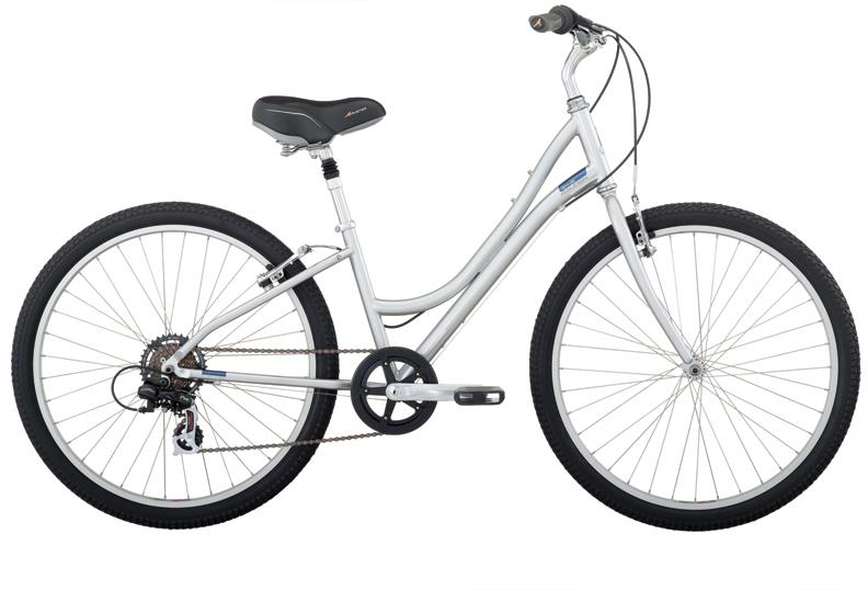 2010 Raleigh Venture Women's