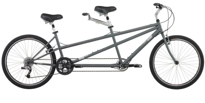 2010 Raleigh Companion
