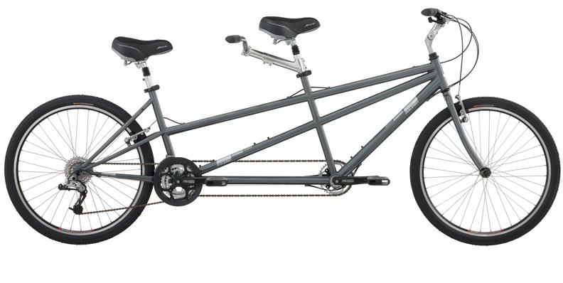 2010 Raleigh Companion