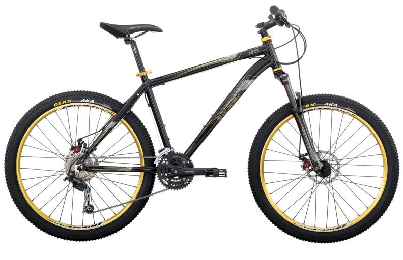 2010 Raleigh Talus 8.0
