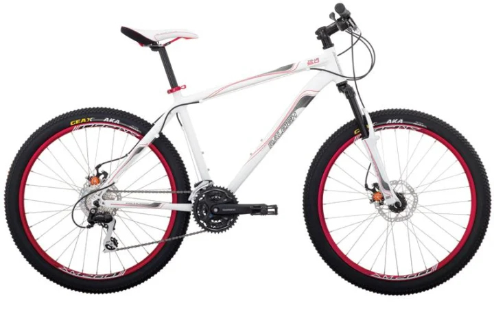 2010 Raleigh Talus 5.0