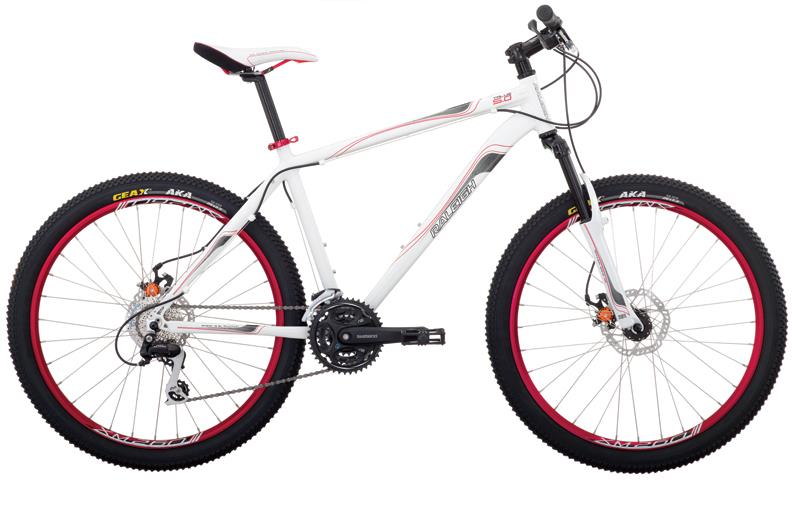 2010 Raleigh Talus 5.0
