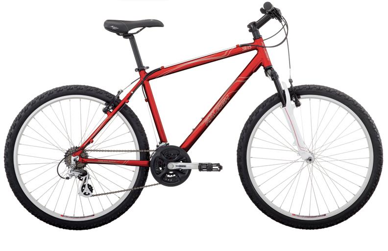 2010 Raleigh Talus 3.0