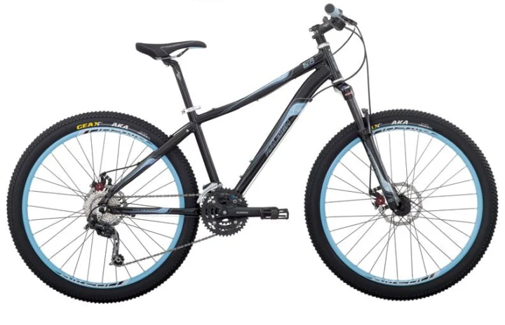 2010 Raleigh Eva 8.0