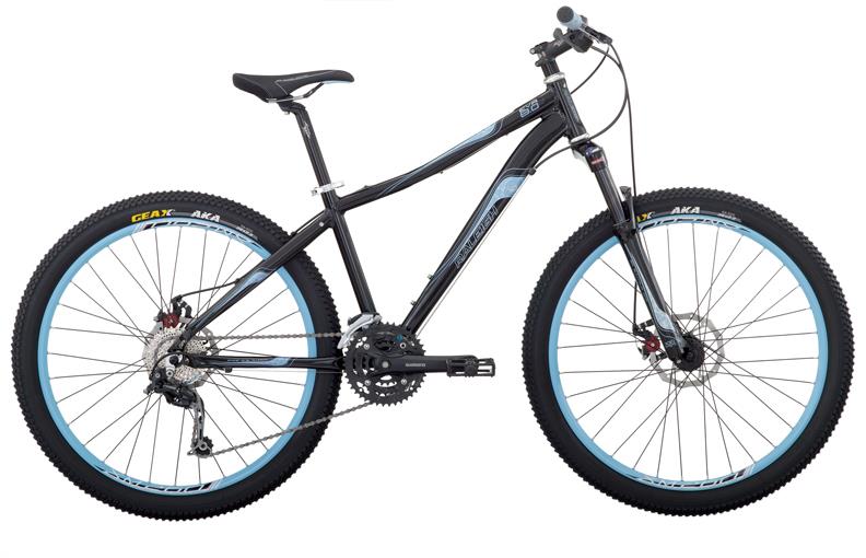 2010 Raleigh Eva 8.0