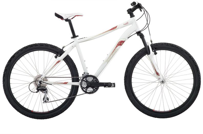 2010 Raleigh Eva 4.0