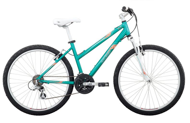 2010 Raleigh Eva 3.0