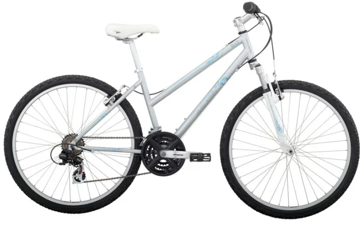 2010 Raleigh Eva 2.0