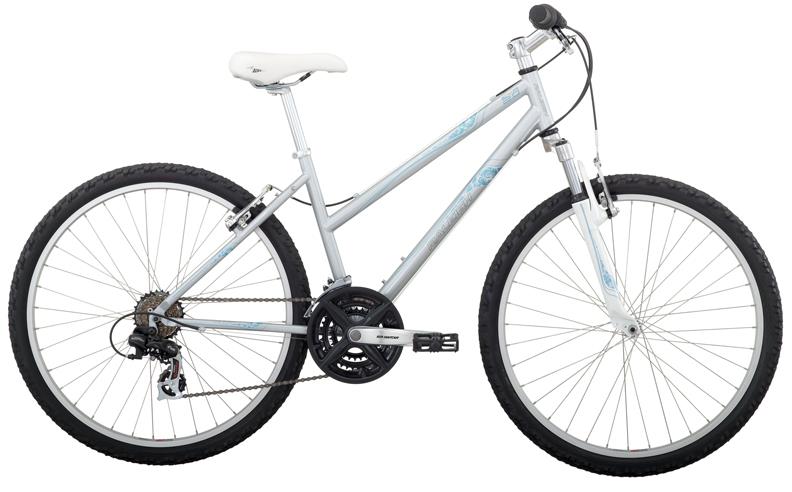 2010 Raleigh Eva 2.0