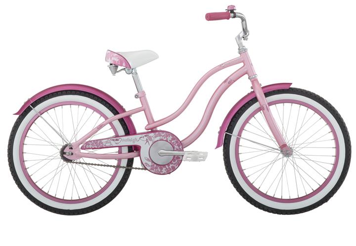 2010 Raleigh Retro 20
