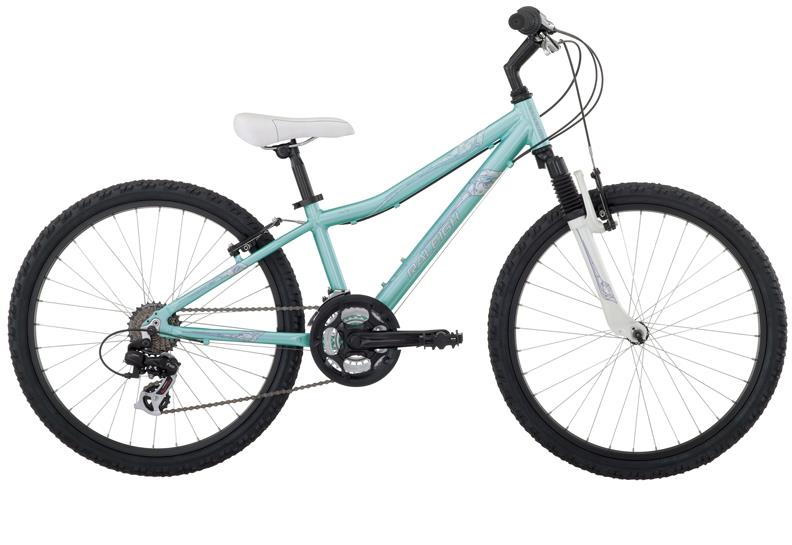 2010 Raleigh Ivy