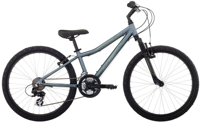 2010 Raleigh MTN Scout