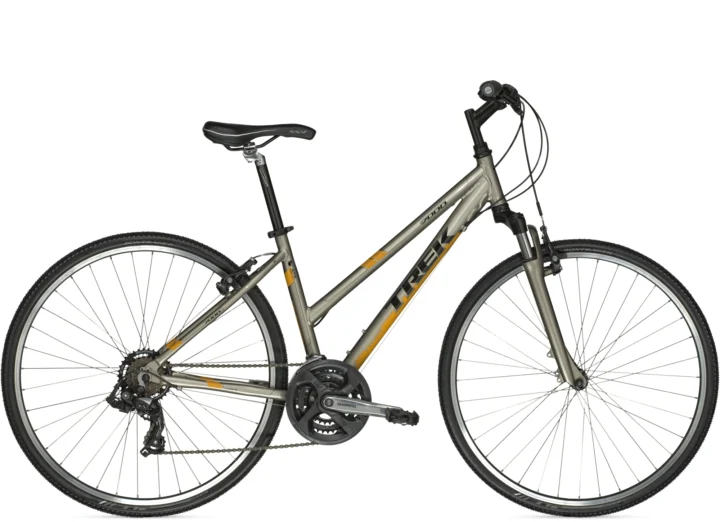 2010 Salsa Dos Niner