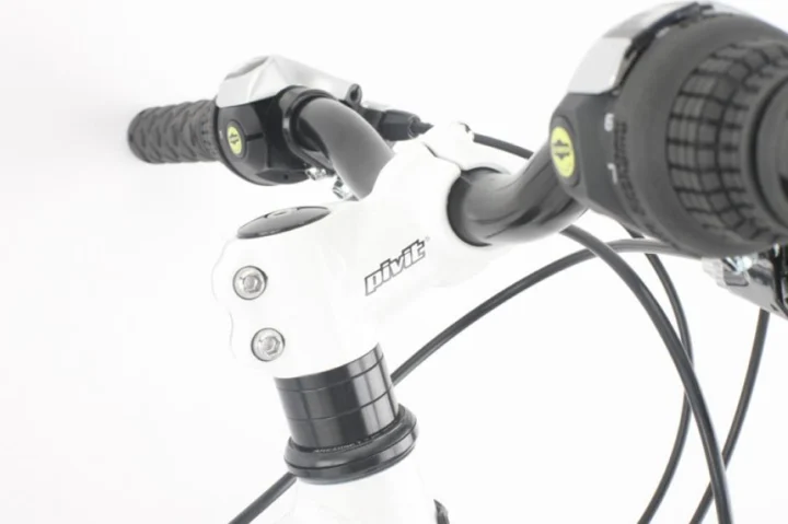 2011 Haro Flightline 24