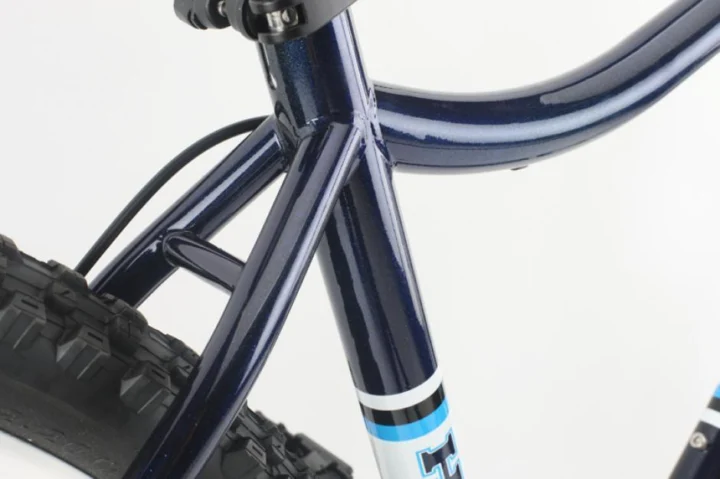 2011 Haro Mary XC Comp
